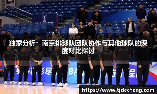 独家分析：南京排球队团队协作与其他球队的深度对比探讨