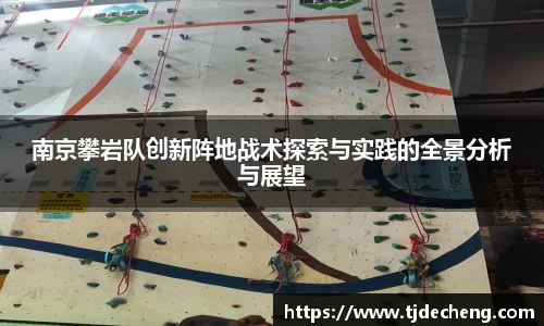 南京攀岩队创新阵地战术探索与实践的全景分析与展望