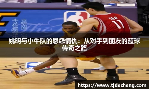 姚明与小牛队的恩怨情仇：从对手到朋友的篮球传奇之路