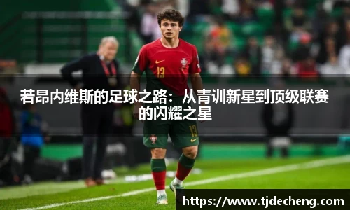 若昂内维斯的足球之路：从青训新星到顶级联赛的闪耀之星